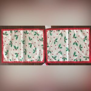 2pc Celebrate It Placemats Set